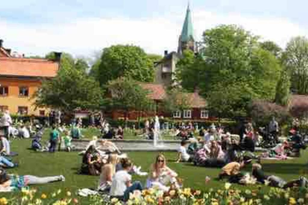Lugn Design Laegenhet, I Heta Sofo, Soedermalm * Stockholm